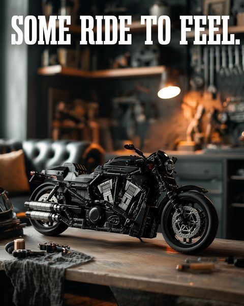 V-ROAD STREET MUSCLE BIKE NF10348 фото