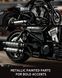 V-ROAD STREET MUSCLE BIKE NF10348 фото 4