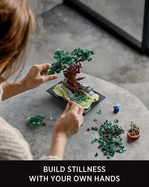 CHAN BONSAI TREE NF10322 фото