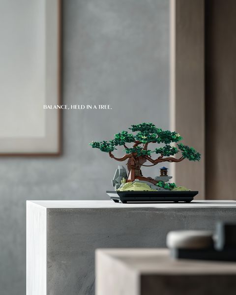 CHAN BONSAI TREE NF10322 фото