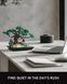 CHAN BONSAI TREE NF10322 фото 3