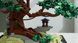 CHAN BONSAI TREE NF10322 фото 8